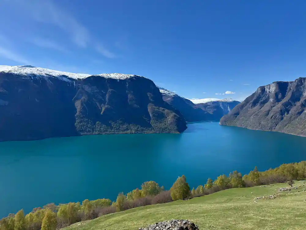 Green meadow running down to bright turquoise fjord water