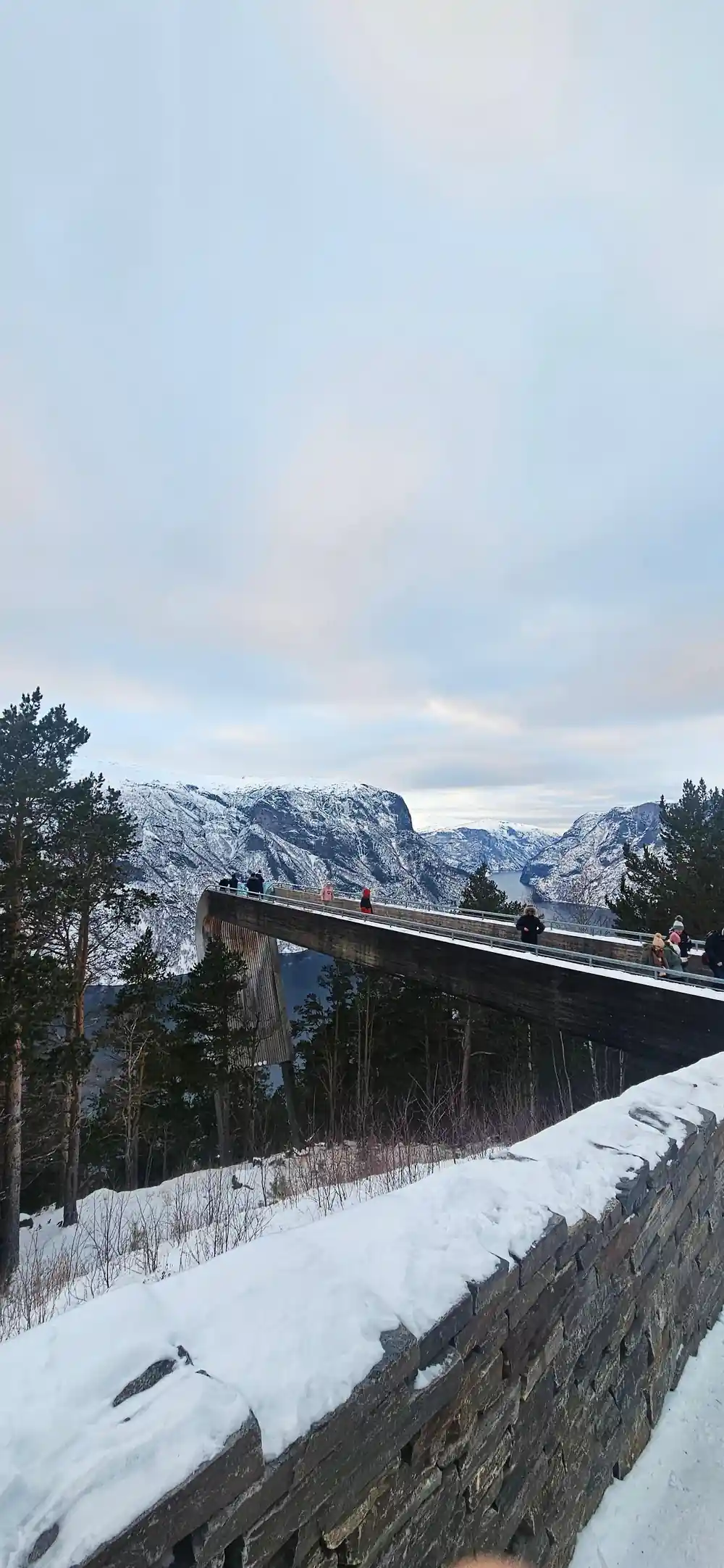 The platform reaching out over trees towards a snowy fjord