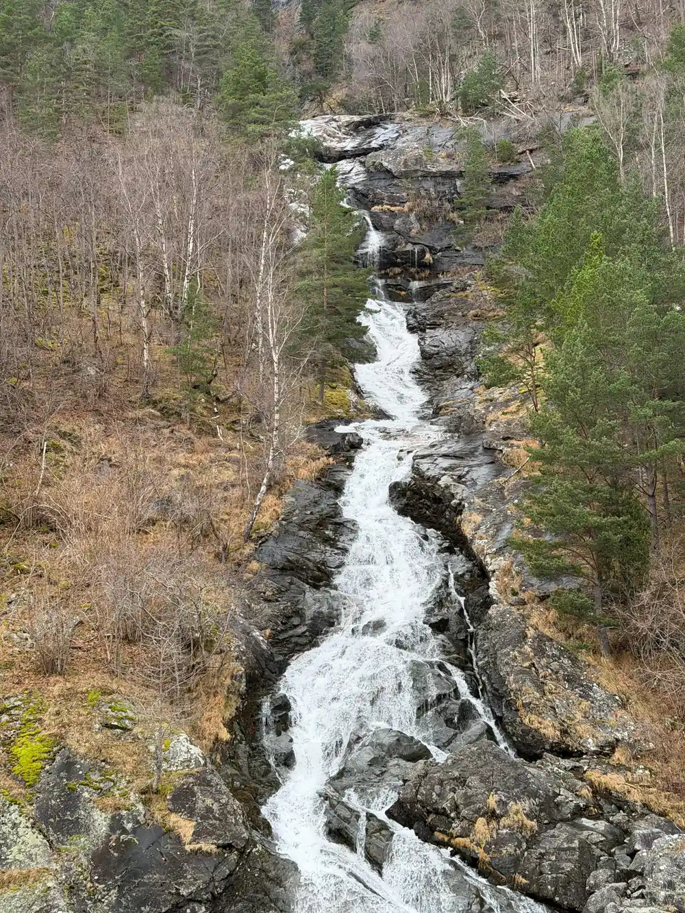 A stream of white water dropping through bare rock and birch