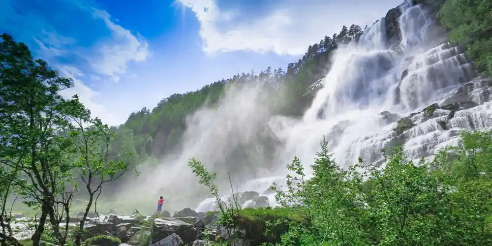 A wide waterfall falling in steps through spray and green birch